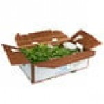 Bunched Cilantro - 30/Case Bunched Cilantro - 30/Case
