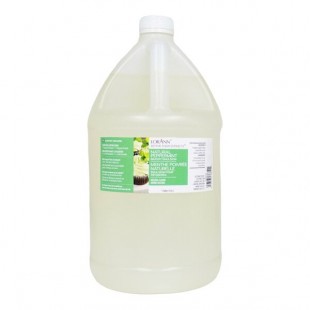 LorAnn Oils 1 Gallon All-Natural Peppermint Bakery Emulsion