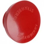 Server Tall Spout Stainless Steel 1 oz. Pump with Lid for 1/3 Size 6
