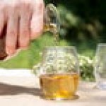 Chef & Sommelier G0036 Primary 9 oz. Rocks / Old Fashioned Glass by Arc Cardinal - 24/Case Chef & Sommelier G0036 Primary 9 oz. Rocks / Old Fashioned Glass by Arc Cardinal - 24/Case