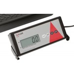 Taylor TE400 400 lb. Digital Receiving Scale with Remote Display Taylor TE400 400 lb. Digital Receiving Scale with Remote Display