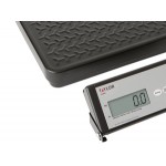 Taylor TE400 400 lb. Digital Receiving Scale with Remote Display Taylor TE400 400 lb. Digital Receiving Scale with Remote Display
