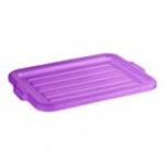 Vigor 20