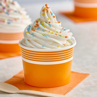 Choice 12 oz. Orange Paper Frozen Yogurt / Food Cup - 1,000/Case Choice 12 oz. Orange Paper Frozen Yogurt / Food Cup - 1,000/Case