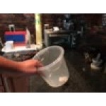 Rubbermaid® 18 Qt. Translucent Round Polypropylene Food Storage Container Rubbermaid® 18 Qt. Translucent Round Polypropylene Food Storage Container