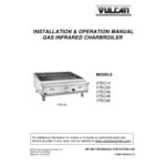 Vulcan VTEC60-1 Natural Gas 60
