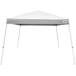 Caravan Canopy 21207800010 V-Series 2 12' x 12' White Slant Leg Instant Canopy Caravan Canopy 21207800010 V-Series 2 12' x 12' White Slant Leg Instant Canopy