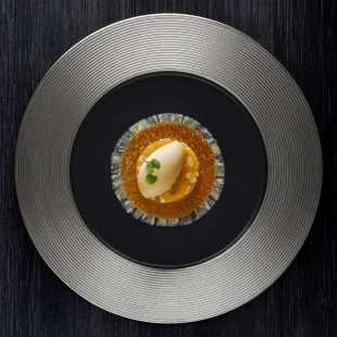RAK Porcelain Metal Fusion 13 RAK Porcelain Metal Fusion 13