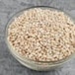 Dried Whole Pearl Barley - 20 lb. Dried Whole Pearl Barley - 20 lb.