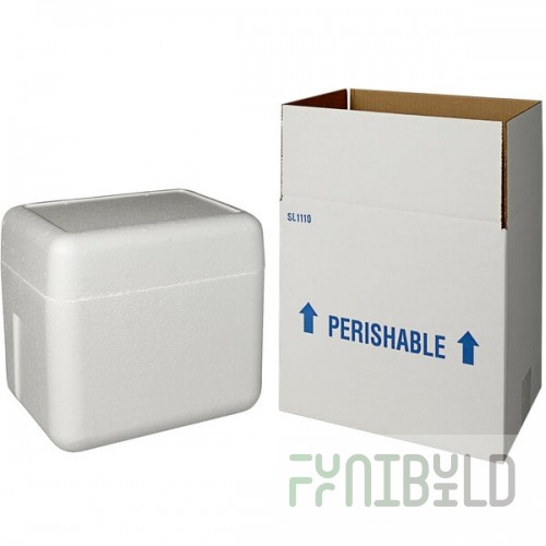 Insulated Shipping Box with Foam Cooler 11 1/8