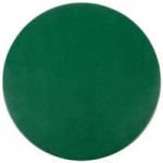 H. Risch, Inc. PLACEMATOVAL17X13GREEN 17