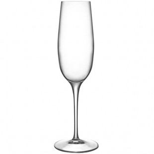 Luigi Bormioli Palace from BauscherHepp 8.25 oz. Flute Glass - 24/Case