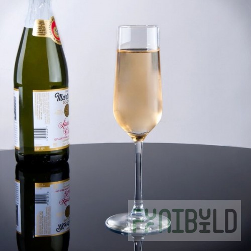 Stolzle Revolution from Global Tableware Collective 7 oz. Flute Glass - 6/Pack