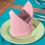 Intedge Pink 65/35 Polycotton Blend Cloth Napkins, 20 Intedge Pink 65/35 Polycotton Blend Cloth Napkins, 20