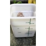 Carlisle 12 Qt. White Square Polyethylene Food Storage Container Carlisle 12 Qt. White Square Polyethylene Food Storage Container