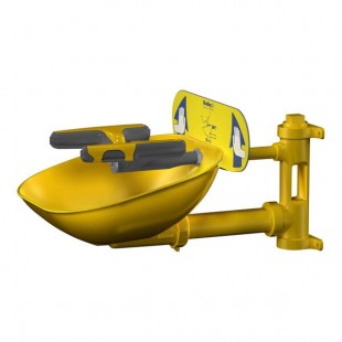 Bradley Halo Wall-Mounted Eye / Face Wash Station S19224FW
