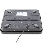 Edlund ERS-60 60 lb. Digital Receiving Scale with 12 Edlund ERS-60 60 lb. Digital Receiving Scale with 12