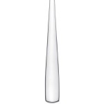 Arcoroc T1816 Vesca 10 1/8