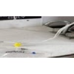 Waring 009051 Wire-Nut® for Blenders Waring 009051 Wire-Nut® for Blenders