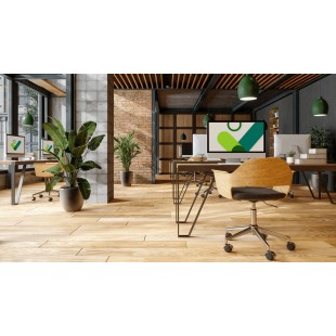 GET Enterprises PA1003712812 11 Inch Coupe Plate Scratch Resistant Porcelain