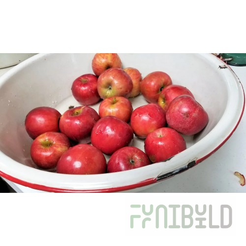 Kitchen Brains FSM12 Monitoring System Stainless Steel Subscription $10 Monthly