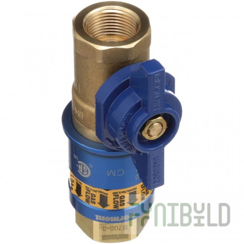 Dormont CF-75R 3/4 Inch Quick Disconnect Coupler with Safety Quik Fitting