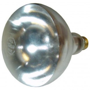 Qualserv Corporation 2-375W Clear Infrared Heat Lamp 375w 120v