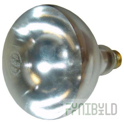 Qualserv Corporation 2-375W Clear Infrared Heat Lamp 375w 120v