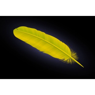 Krowne SS18-D 22.5 Inch Side Splash with Splash Containment Stainless Steel