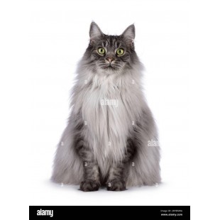 Hubert 20382 Hubert® Hubert 20382 Hubert®