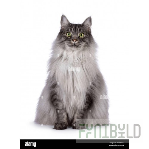 Hubert 20382 Hubert® 