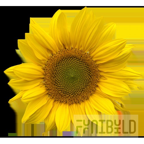Quantum QMS843MOB_YELLOW Magnum Bin Mobile 29