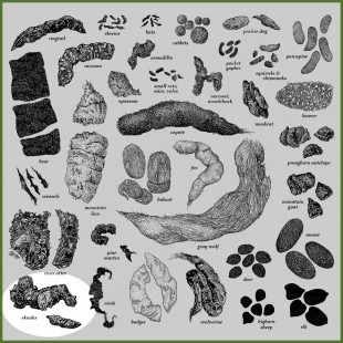 Univex 1000556 4 Inch Diameter Waxed Paper Divider Package of 5000 Sheets