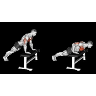 Quantum WS-SS18-7S 18 Inch Mobile Partition Wall Starter Unit with Baskets Dividers