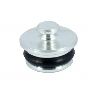 Guide plug