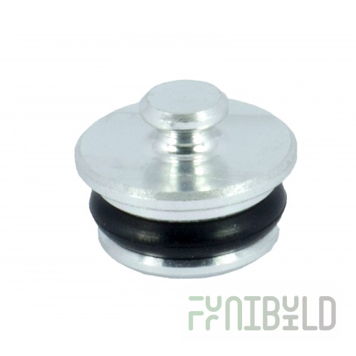 Guide plug