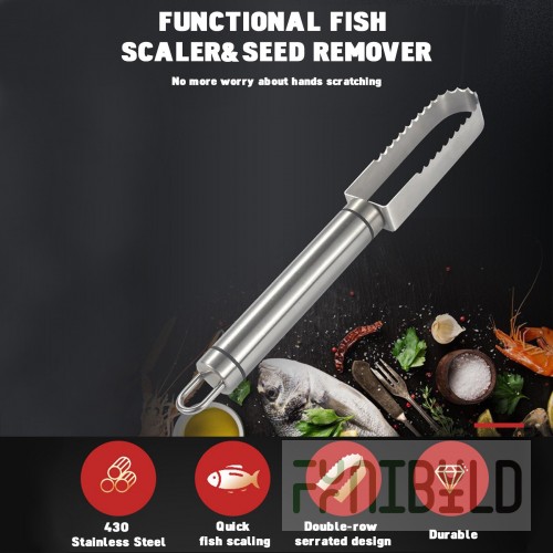 Alfa 250CC4 1 Inch Manual Fish Scaler Standard Duty Core Stainless Steel with Ergonomic Design