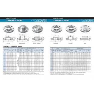 Flange (MIM-600M (from 11.12)) MIM-600M.00.001