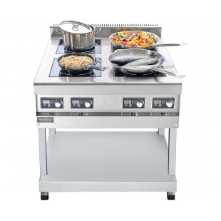 Induction cooker KIP-49P-5.0 (840x900x940 in, 4 conf., crash stand, 9 levels)
