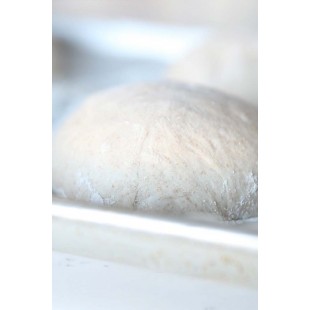 Rosito Bisani FW150-CM 59 Inch Inside Cooking Diameter Wood Fired Oven Rosito Bisani FW150-CM 59 Inch Inside Cooking Diameter Wood Fired Oven