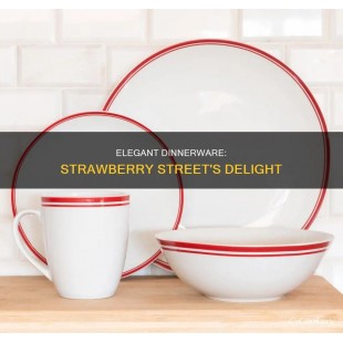 10 Strawberry Street China Dinnerware