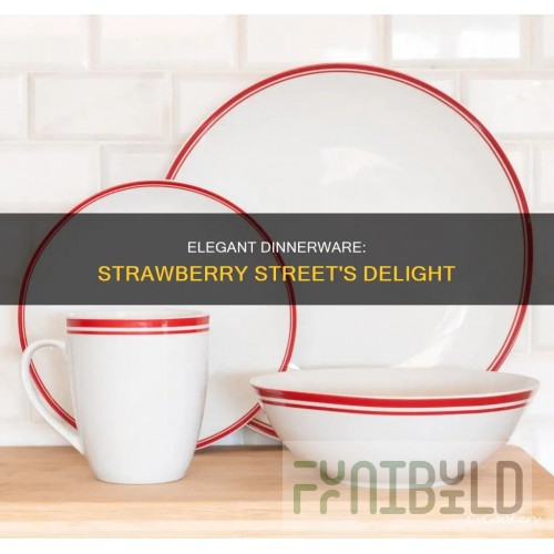 10 Strawberry Street China Dinnerware