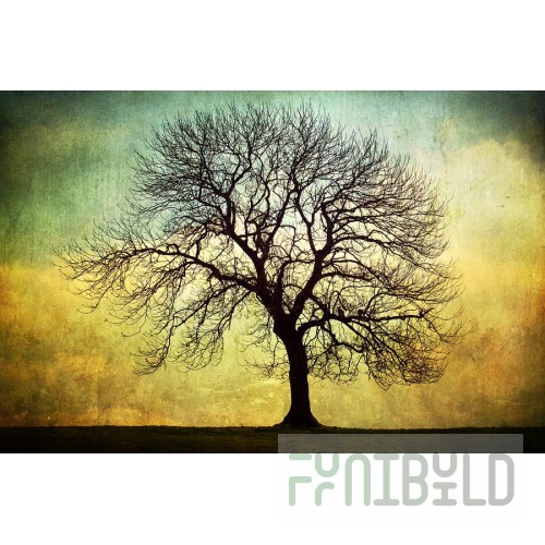 Alfa B-051 Meat Table Bolt For Berkel Slicers Pack of 2 Replaces OEM 2175-03277