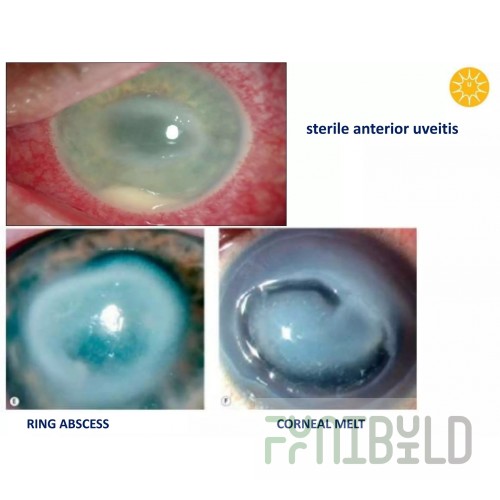 AERO Manufacturing D-24 Width Drain Trough with Strainer Stainless Steel