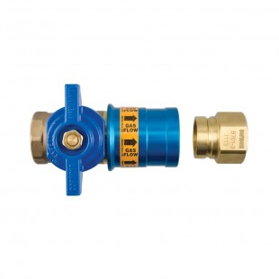 Dormont CF-100R 1-Inch Safety Quik QDV Quick Disconnect Coupler with Rubber Seals Dormont CF-100R 1-Inch Safety Quik QDV Quick Disconnect Coupler with Rubber Seals