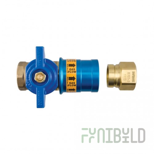 Dormont CF-100R 1-Inch Safety Quik QDV Quick Disconnect Coupler with Rubber Seals