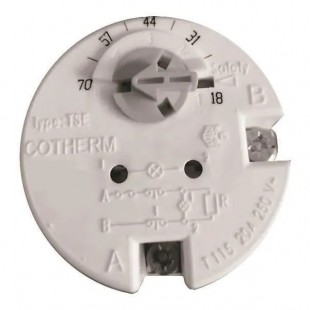 Thermoregulator (for boiler AN18) TERMOSTAT