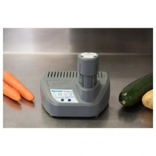 Dynamic AC590 Battery Charger 230v MiniPro Cordless Compact Stainless Steel