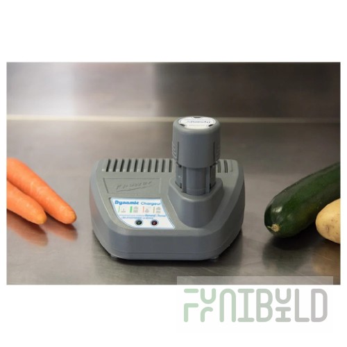 Dynamic AC590 Battery Charger 230v MiniPro Cordless Compact Stainless Steel