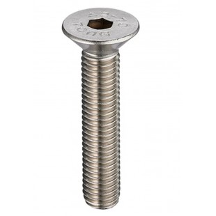 AllPoints 8091963 M5 x 30 Saucer Head Screw Corrosion Resistant Steel